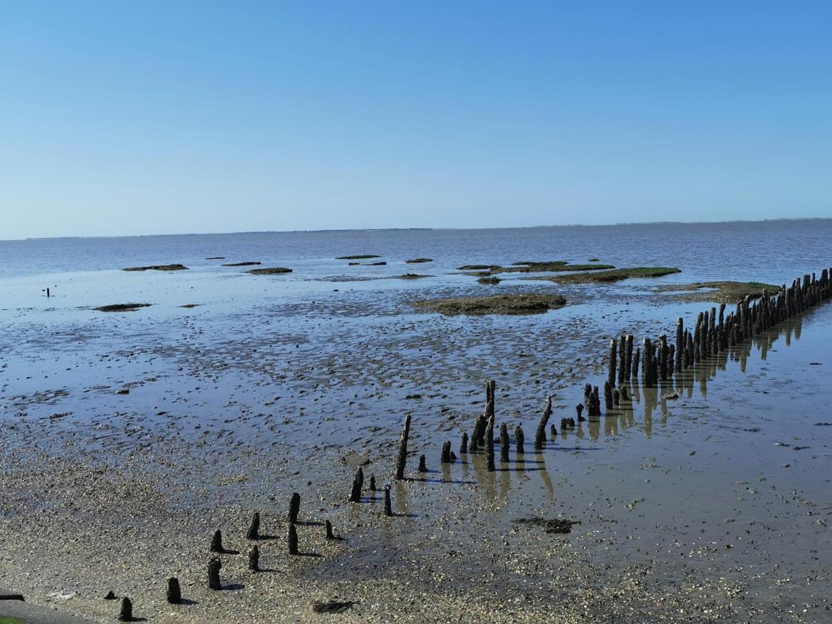 Kleinaberfein An Der Nordseekueste Schweindorf Esterno foto